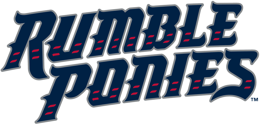 Binghamton Rumble Ponies 2017-Pres Wordmark Logo iron on heat transfer